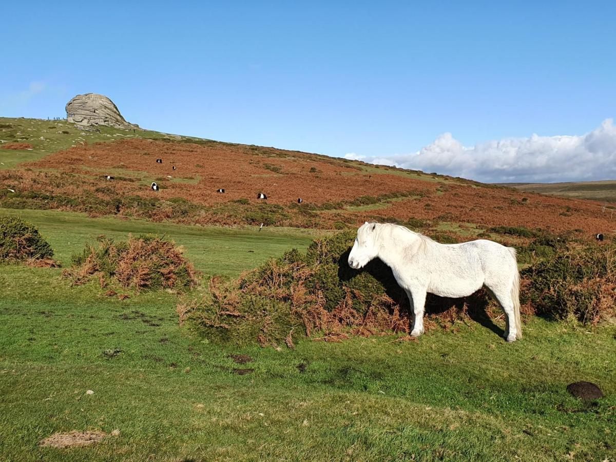 The Stable - The Cottages At Blackadon Farm 아이비브리지 외부 사진